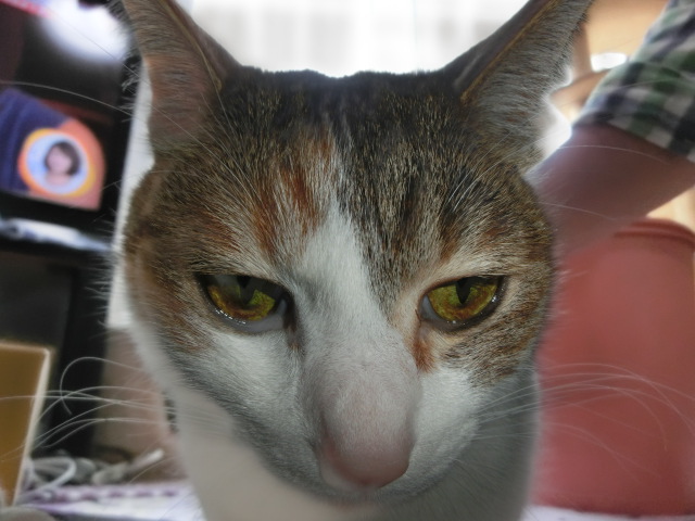 c0194042_13173932.jpg