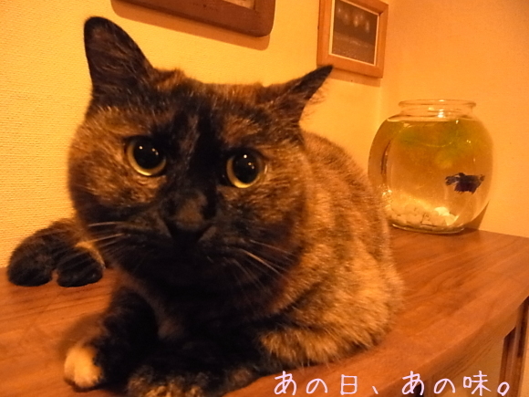 a0305046_10071801.jpg