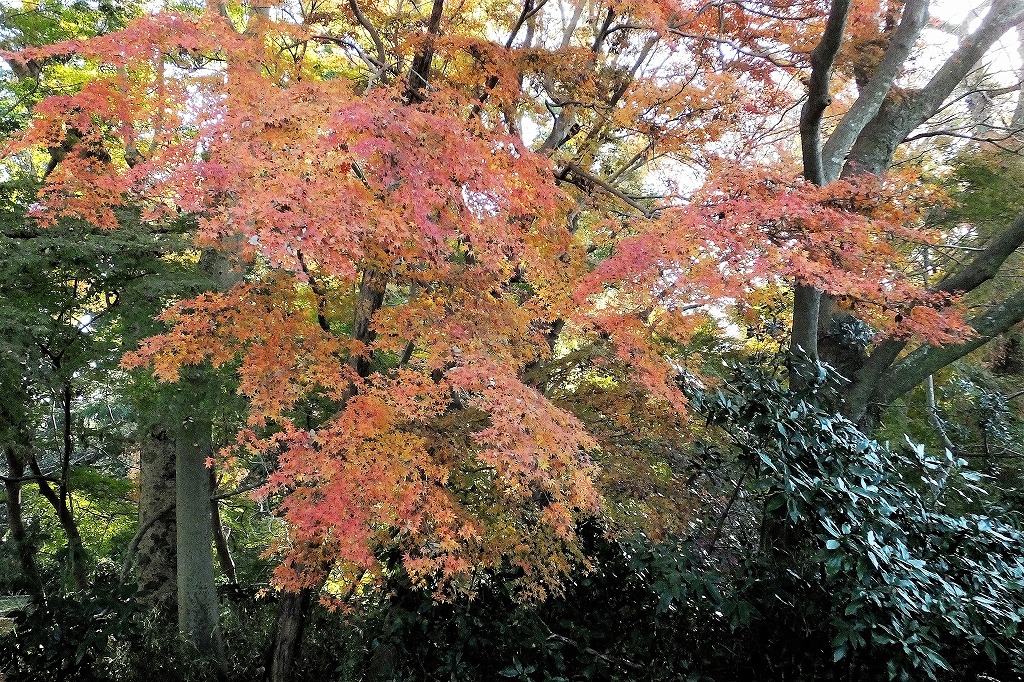 b0236251_10395333.jpg