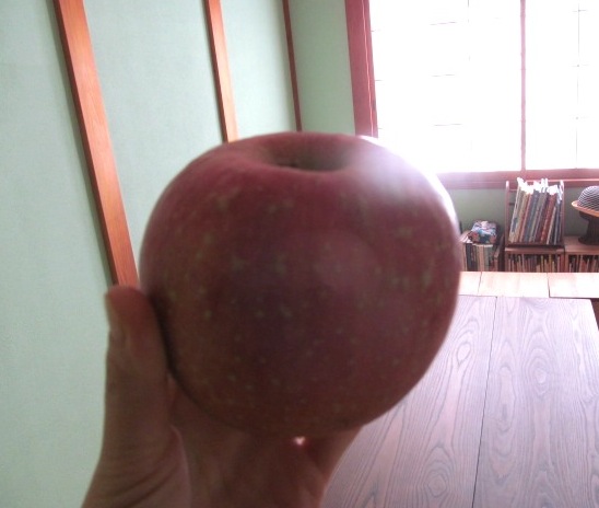 f0129557_1540357.jpg