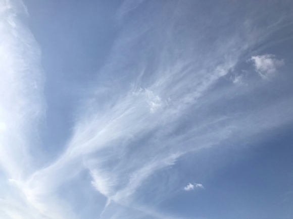 f0043559_21565574.jpg
