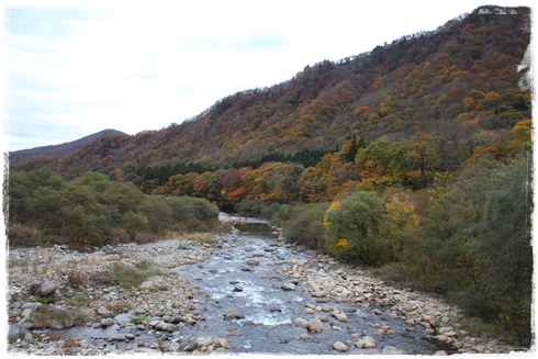 b0308662_193786.jpg