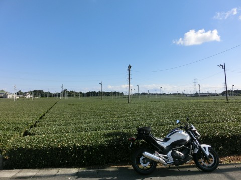 e0045768_21582485.jpg
