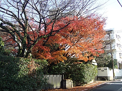 e0086885_20322603.jpg
