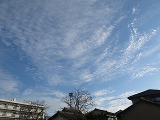 e0130185_19253353.jpg