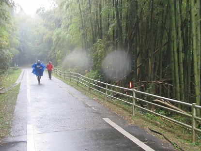 e0048994_12002419.jpg