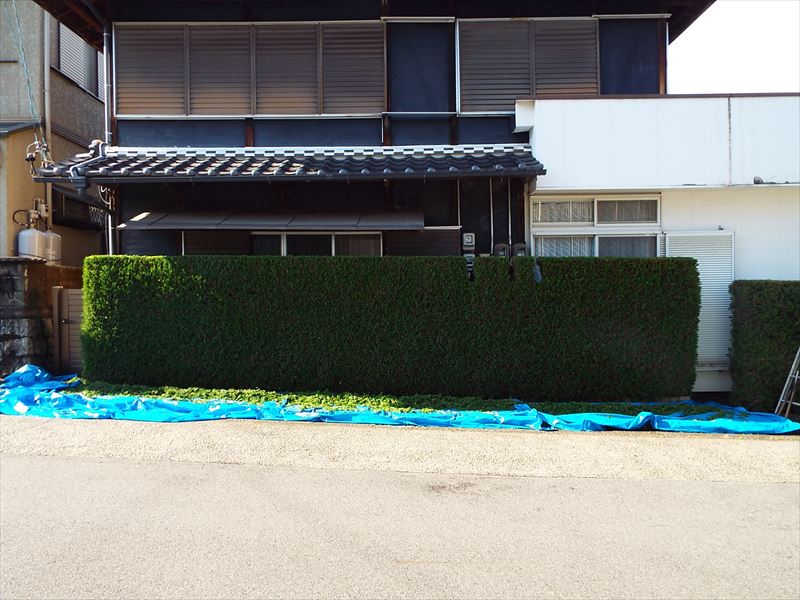 c0108198_1755148.jpg