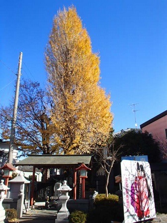 c0187298_2251427.jpg