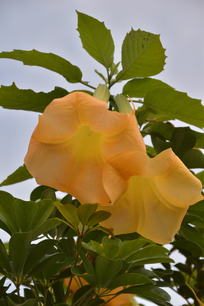 c0049299_23043040.jpg