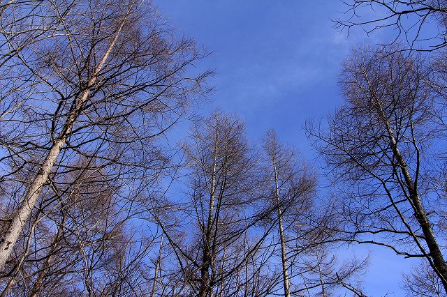 e0137200_19435251.jpg