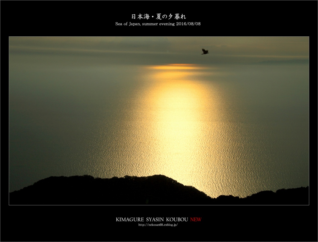 d0353401_20505460.jpg