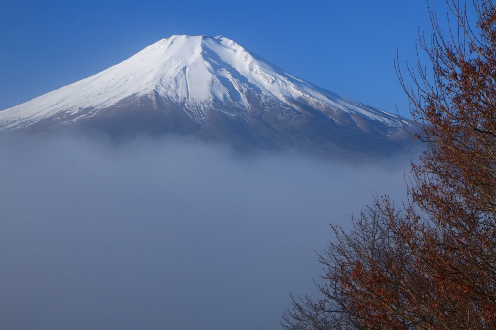 a0188405_12172939.jpg