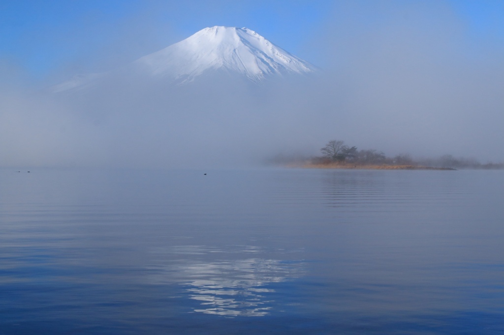 a0188405_14180831.jpg