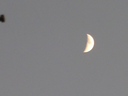 b0125808_2305722.jpg