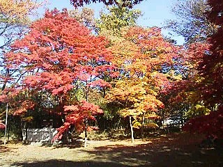 f0208812_9153048.jpg