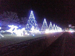 f0208812_9162096.jpg