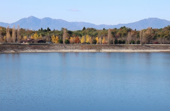 a0198715_10304807.jpg