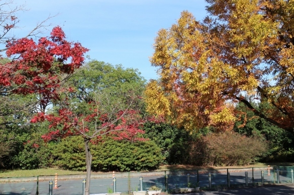 a0198715_10465770.jpg