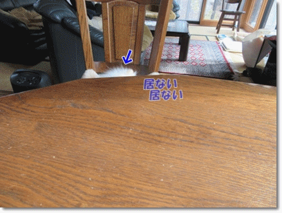 b0167519_22264719.gif