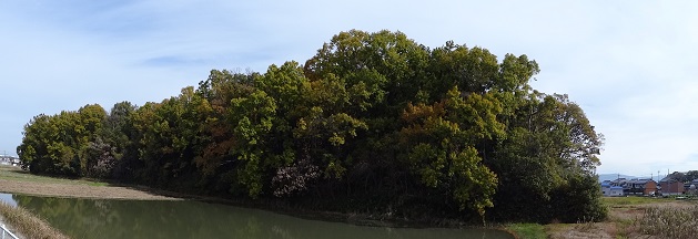 f0000521_4332699.jpg