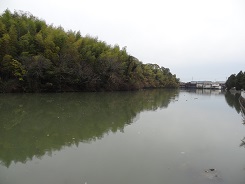 f0000521_7281517.jpg