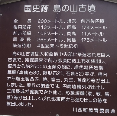f0000521_729301.jpg