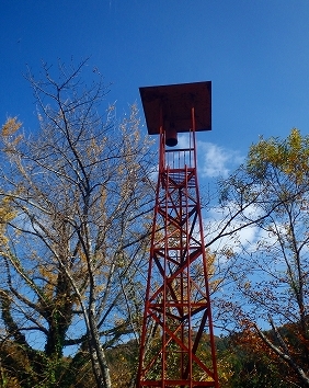 f0193521_20142785.jpg