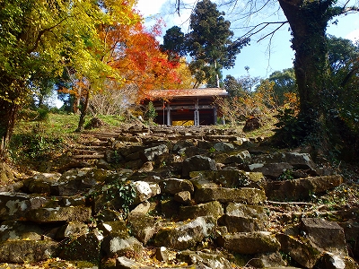 f0193521_2027828.jpg