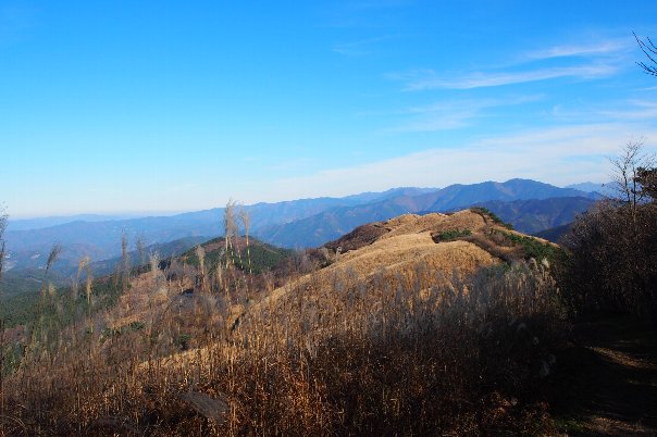b0149340_18384585.jpg