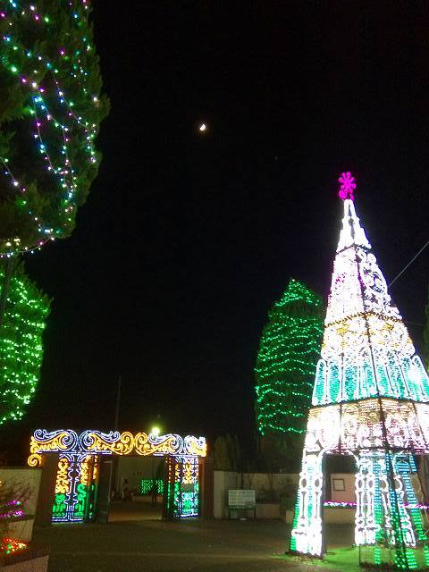 d0131847_21465352.jpg