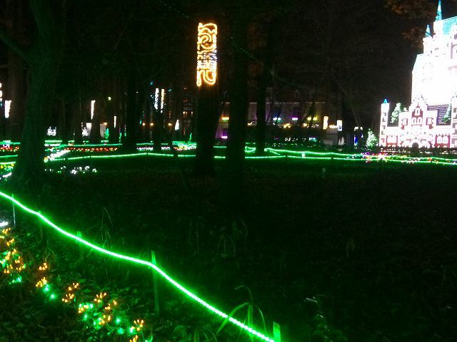 d0131847_21465656.jpg