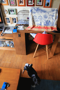 c0145250_10223781.gif