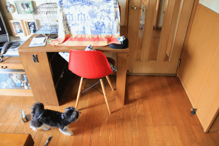 c0145250_10224477.gif