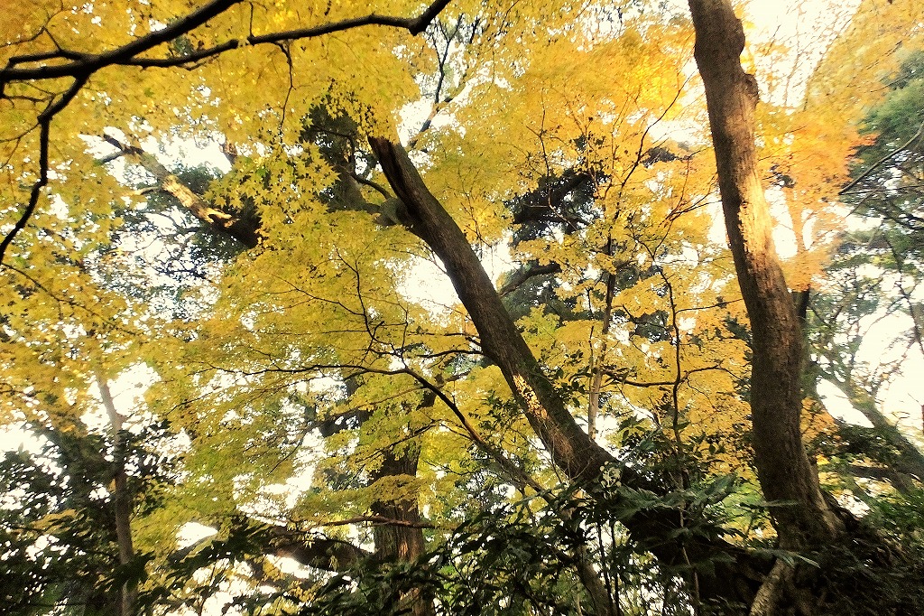 b0236251_18113353.jpg