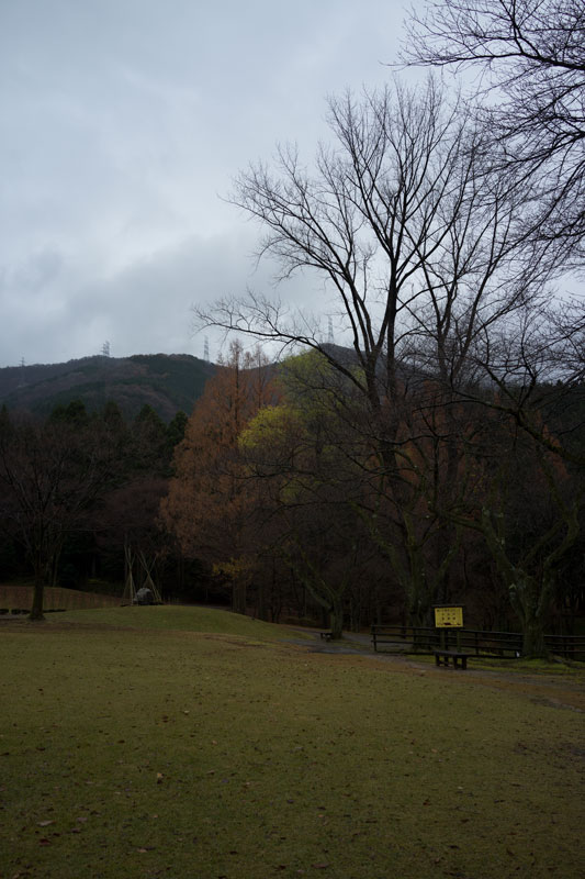 d0342652_1946286.jpg
