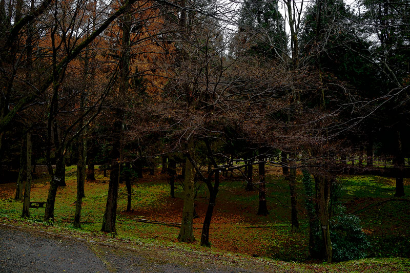 d0342652_19471345.jpg