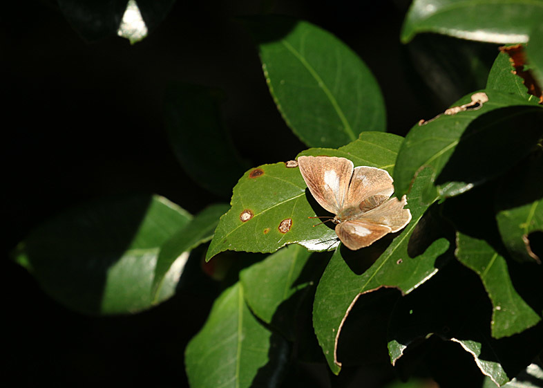 d0146854_21005714.jpg