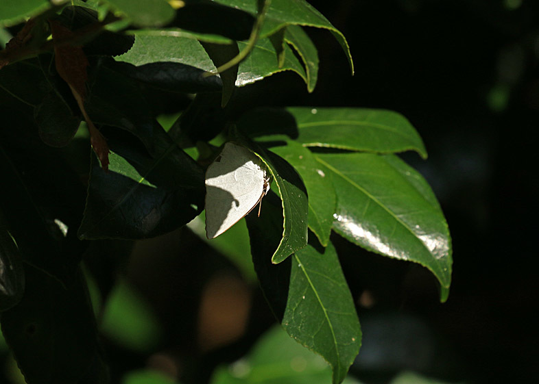 d0146854_21010485.jpg