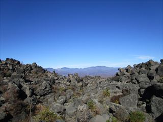 d0045362_10481227.jpg