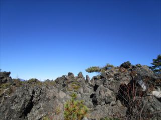 d0045362_1049368.jpg