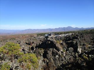 d0045362_10495774.jpg