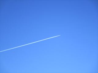 d0045362_10502269.jpg