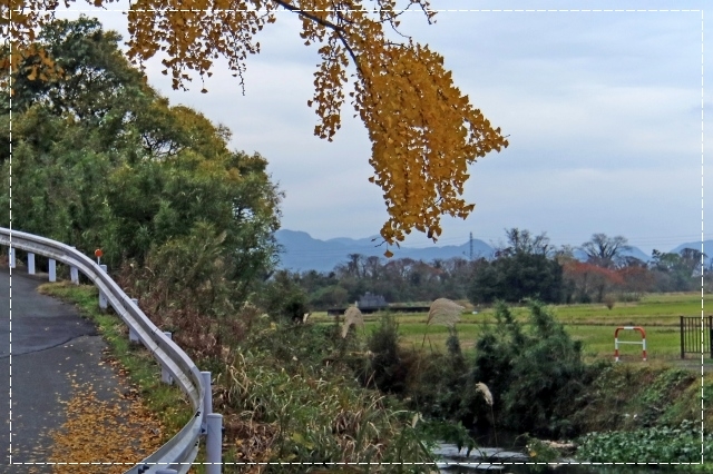 d0102968_07354938.jpg