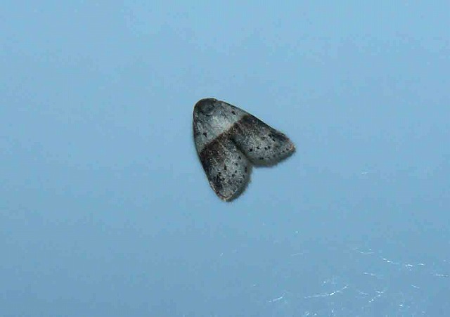 d0019074_9425711.jpg