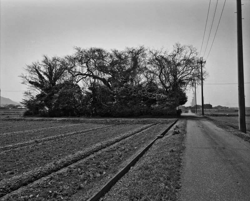 c0131875_00113173.jpg