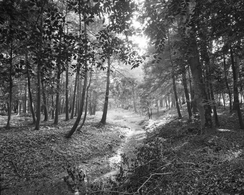 c0131875_00123322.jpg