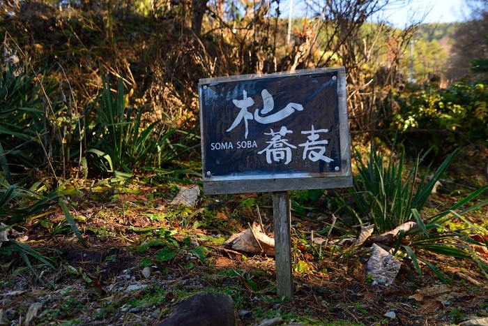 d0341880_08064321.jpg