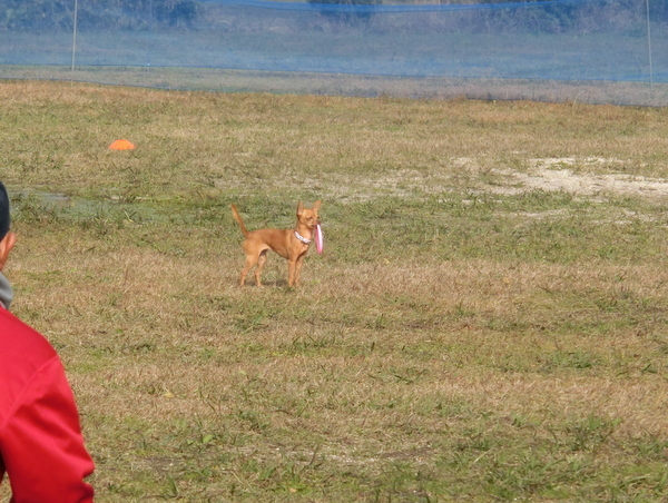 d0098295_16590176.jpg