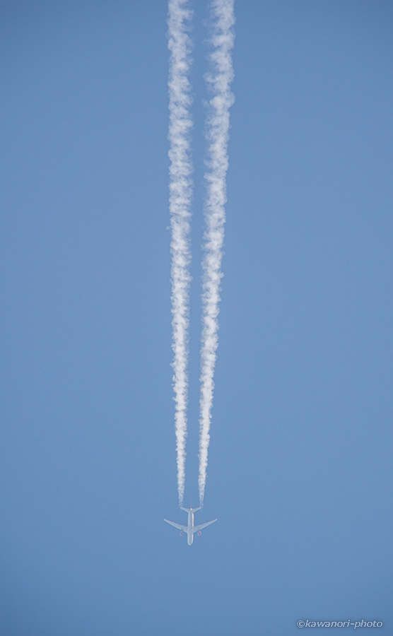 d0146295_20315772.jpg
