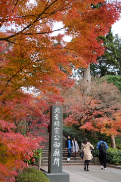 c0339296_8313925.jpg